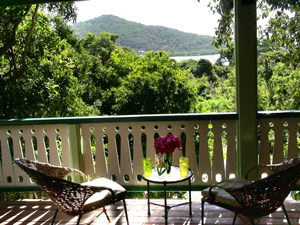 View from St John cottage Cactus Flower