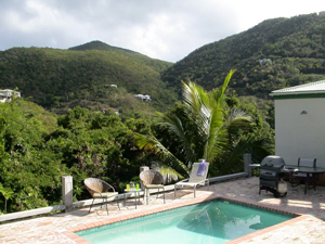 Cactus Flower Cottage pool and expansive view