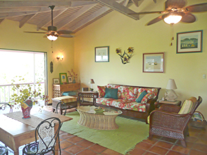 St John vacation rental Meridian has stonework,  tropical decor and high ceilings